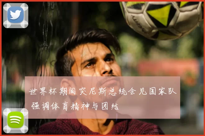 世界杯期间突尼斯总统会见国家队 强调体育精神与团结