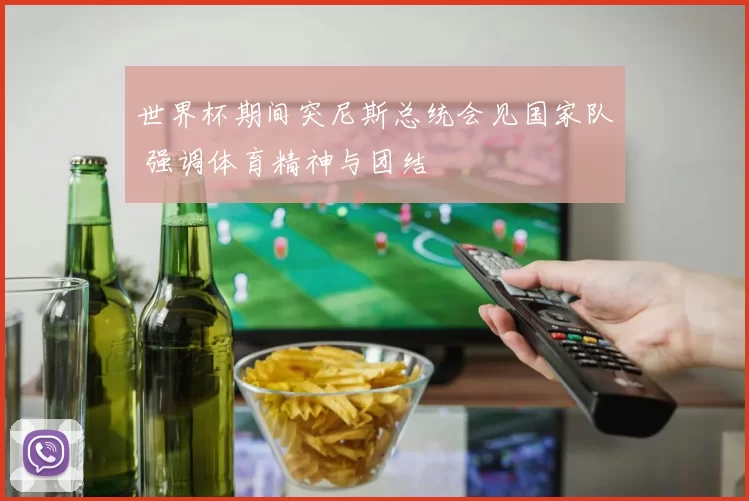 世界杯期间突尼斯总统会见国家队 强调体育精神与团结