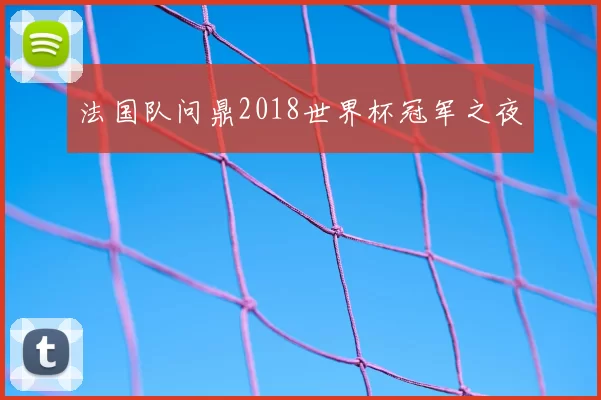 法国队问鼎2018世界杯冠军之夜